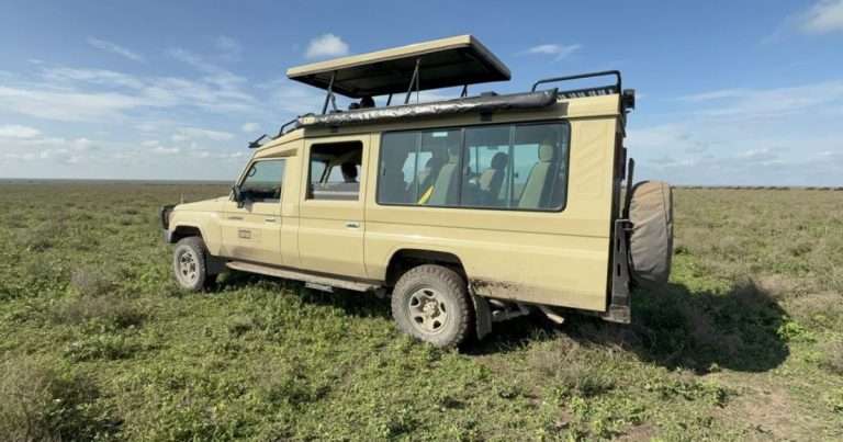 Tanzania Serengeti [Ndutu Scenic Area] Photography Safari + Zanzibar Island Leisure Vacation 13 Days 12 Nights